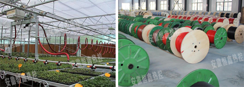 温室供水管道香蕉视频黄色片带防冻